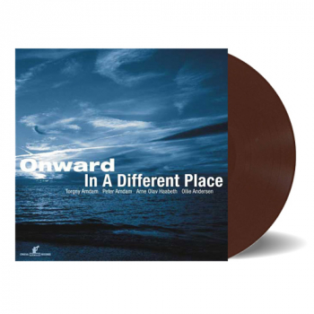 Onward - In A Different Place LP