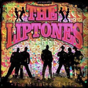 The Liptones - The Meaning Of Life LP