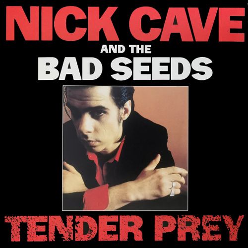 Nick Cave & The Bad Seeds - Tender Fury LP
