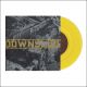 1 7"/ 1 CD Bundle incl. Downslide 7" on yellow Vinyl