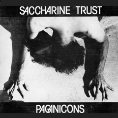 Saccharine Trust - Paganicons 12