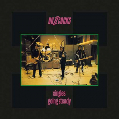 Buzzoccks - Singles Going Steady LP