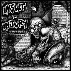 Insult To Injury - Realm Of Indifference LP (colored vinyl)