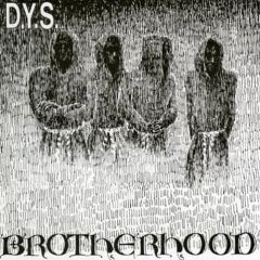 DYS - Brotherhood LP