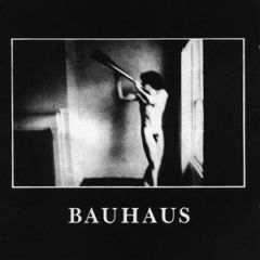 Bauhaus - In The Flat Field LP Bauhaus - In The Flat Field LP