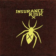 Insurance Risk - How Much More 7 (spider cover)